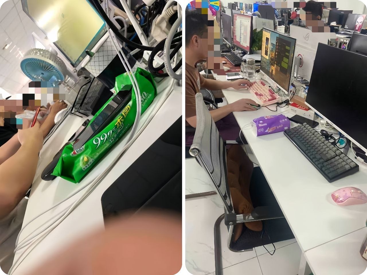 网友曝光 #黑公司曝光:白马园区B4-6666润城集团万鸿公司(台湾精聊)