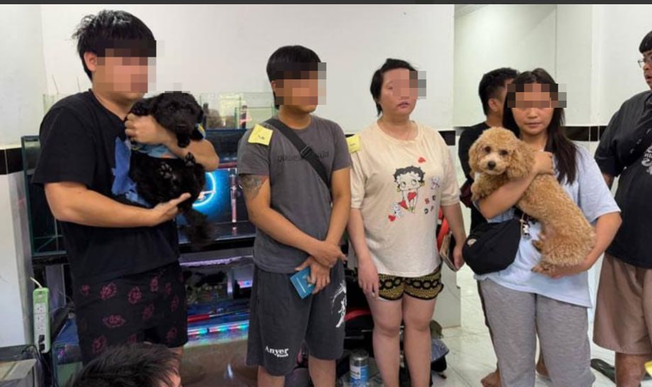 波贝昨天抓了16人,还有2条狗