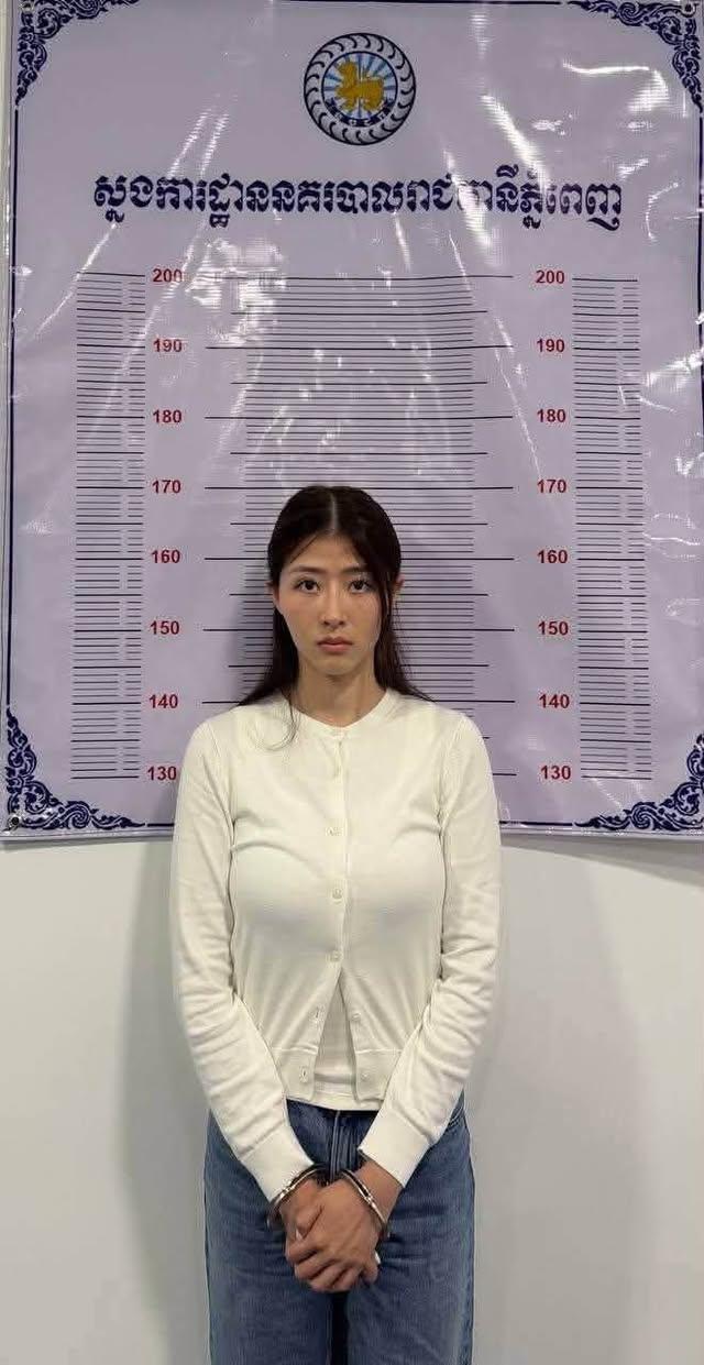 柬司法部长表态:严惩肇事逃逸的富二代