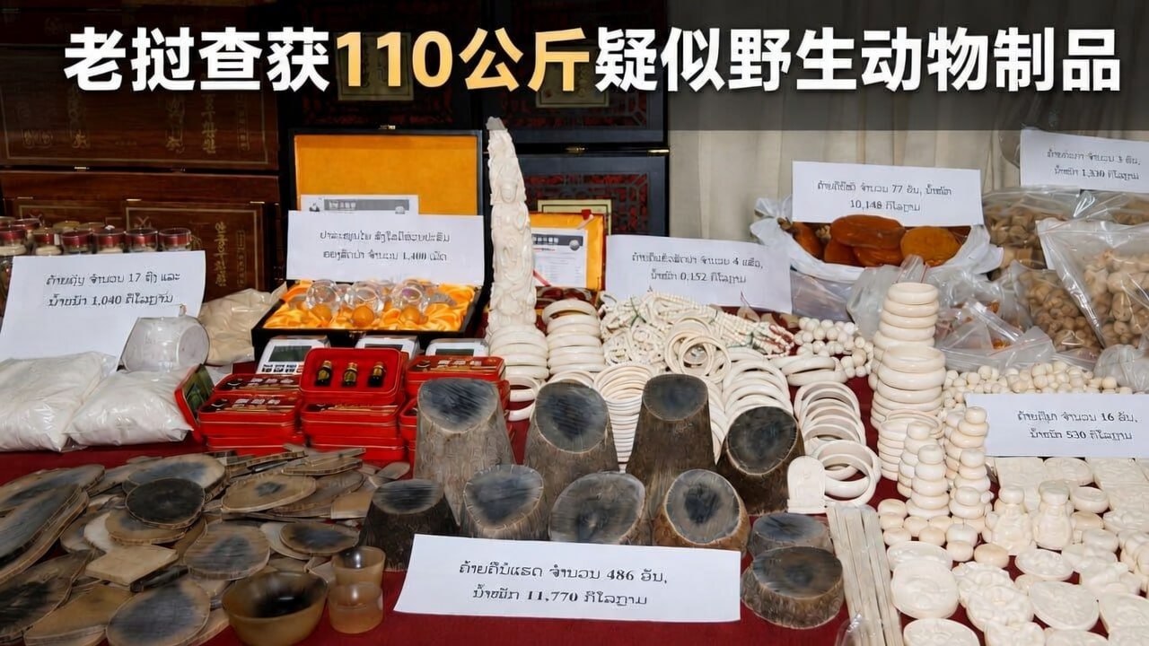 老挝新闻 老挝查获110多公斤野生动物制品,一名中国籍嫌疑人被捕