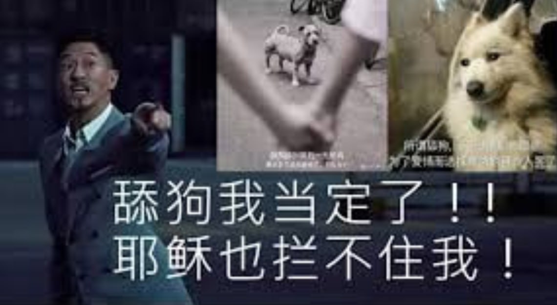 群友投稿:送给东南亚所有舔狗的一句话: