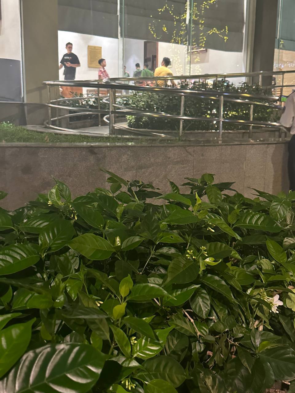 突击检查 越南 胡志明
