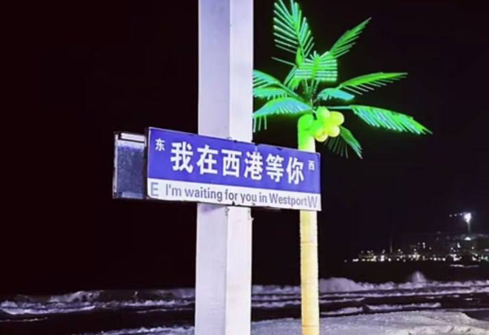 网友投稿 这一年,东南亚的风终究还是停了。