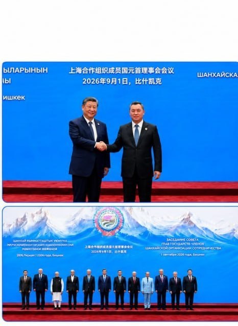 国内资讯