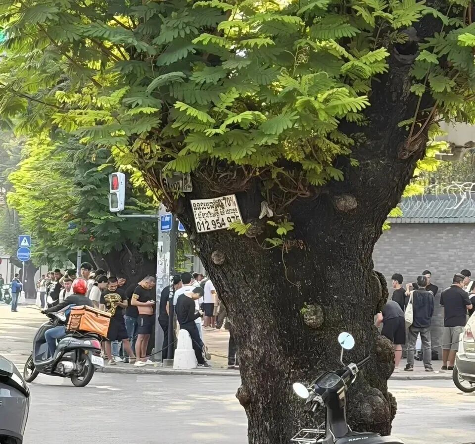 深度报道:柬埔寨电诈死灰复燃?