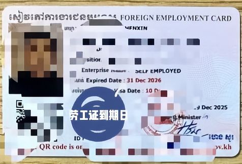 网友投稿:柬埔寨政府的通知来,有25年劳工证者请在2026年3月31日截止日期前,办理26年劳工证不罚款。