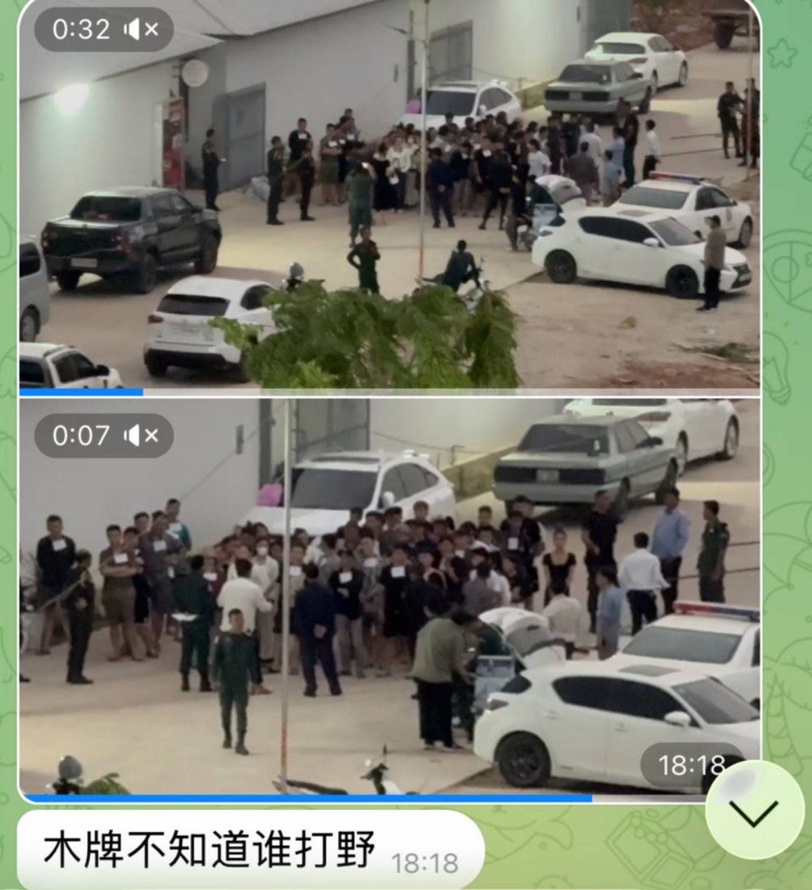 木牌突袭100多名野生狗推后续: