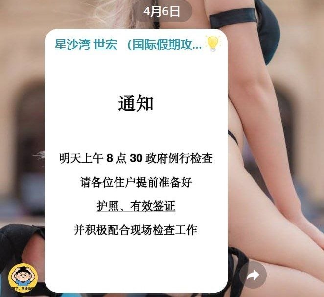 最新消息:星沙湾明天大检查