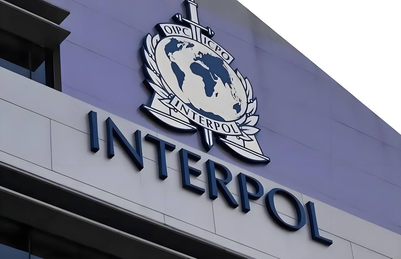 国际刑警“协同行动III”战果披露: