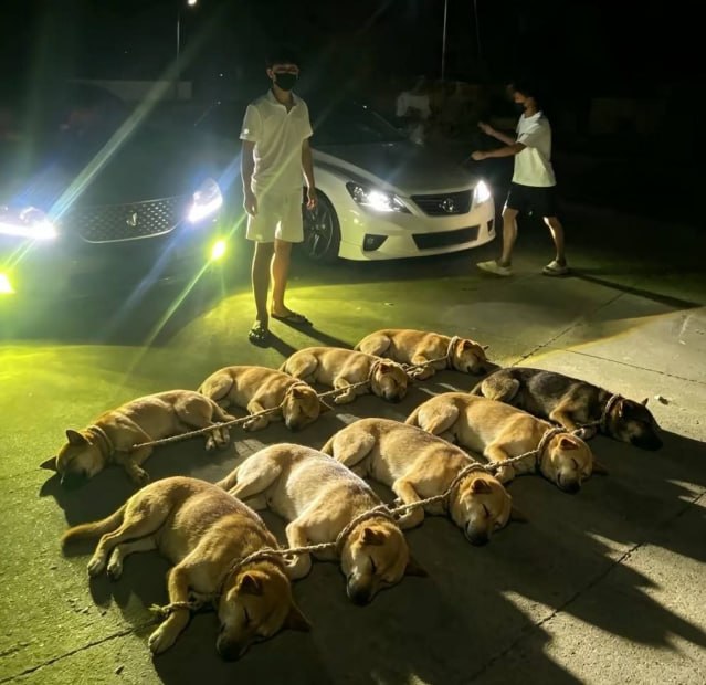 群友投稿:少年出境,归来已满身风雨