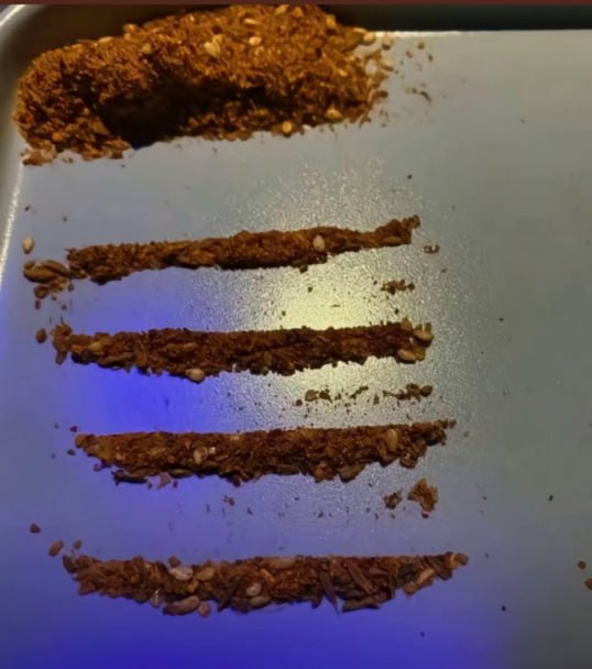 包厢里面致敬大哥最标准的方式