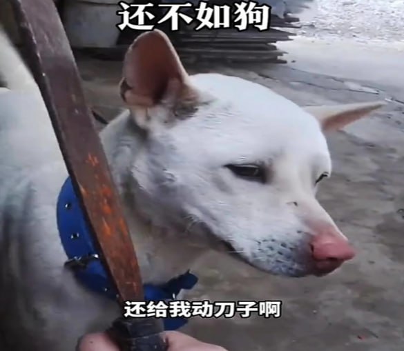 在东南亚混,少了任何一条,你都混不下去