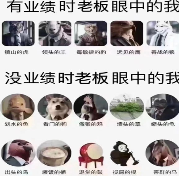 群友投稿:有些没来过东南亚的朋友问我,柬埔寨真是男人的天堂吗?