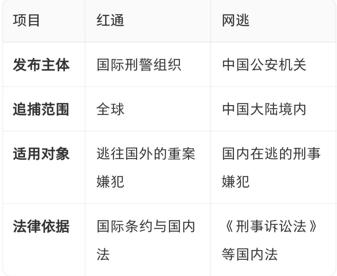 群友分享:红通和网逃的区别