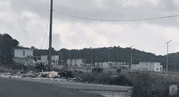 网友投稿